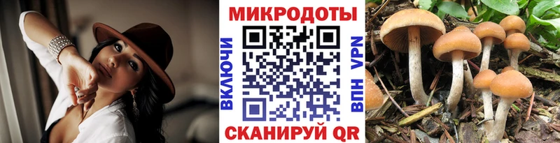 Галлюциногенные грибы Magic Shrooms  продажа наркотиков  Вельск 